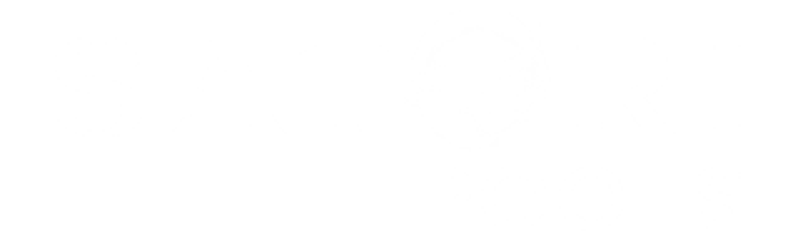Satori Pools Logo-06
